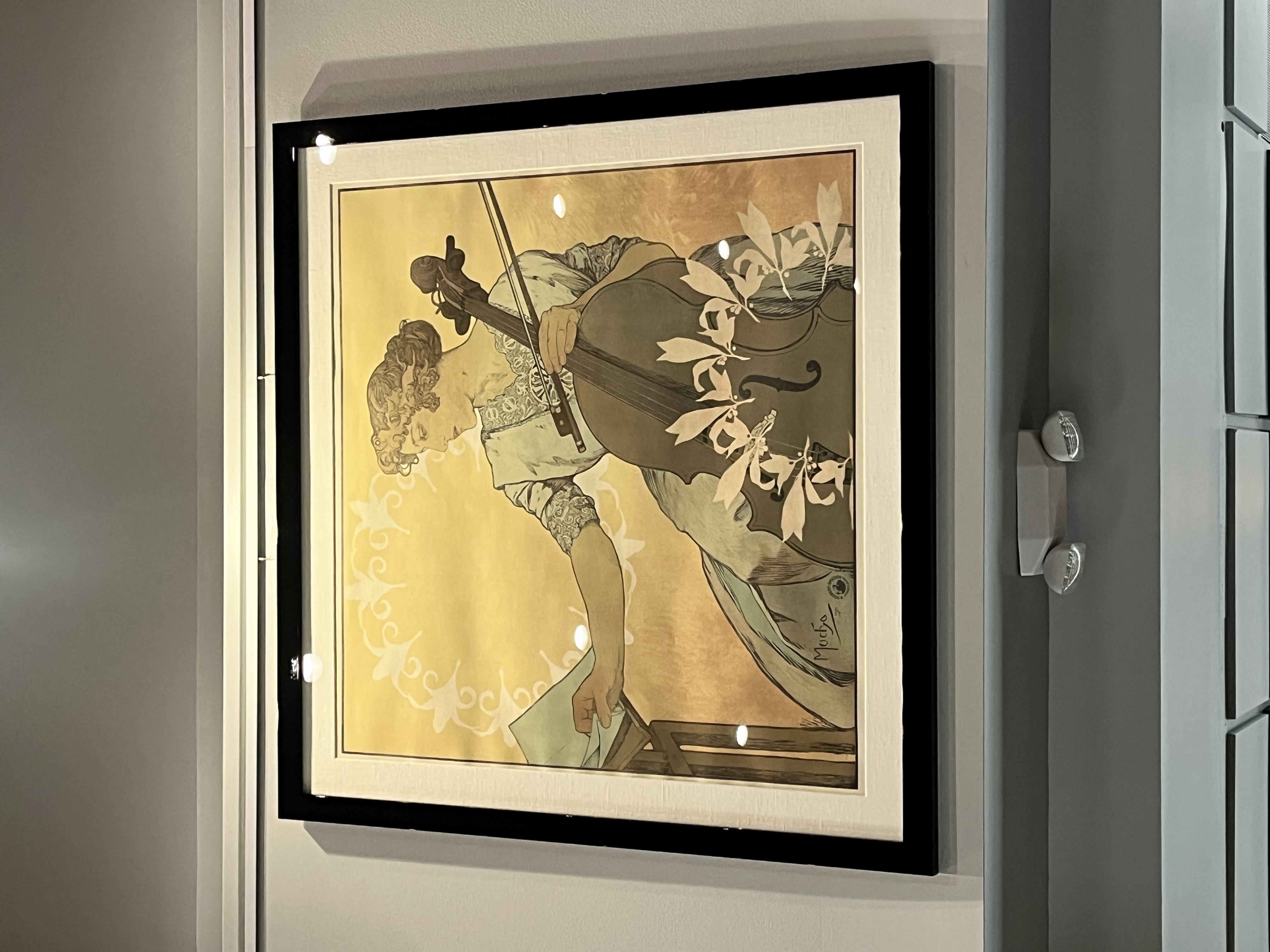 Zdeňka Černý (The Greatest Bohemian Violoncellist)